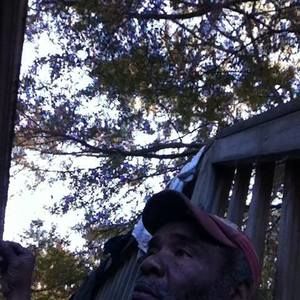 Meet your Posher, Marion